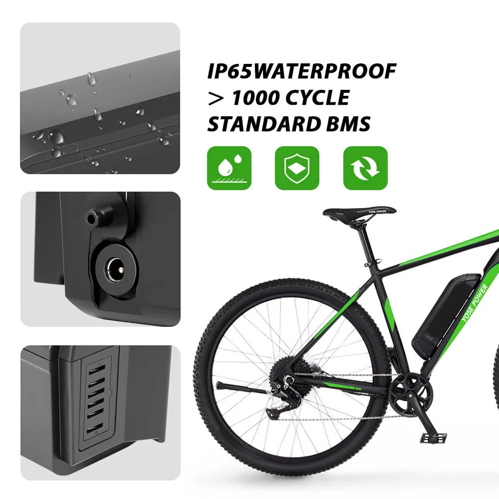 48V 11.6Ah/14Ah Phylion Accu SF-06S Joycube Battery JCEB480-11.6 for E-Bikes Pedelecs Fischer