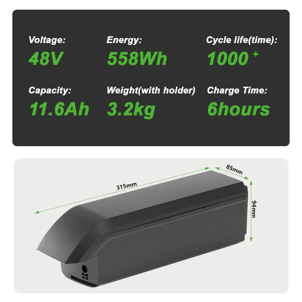 48V 11.6Ah/14Ah Phylion Accu SF-06S Joycube Battery JCEB480-11.6 for E-Bikes Pedelecs Fischer