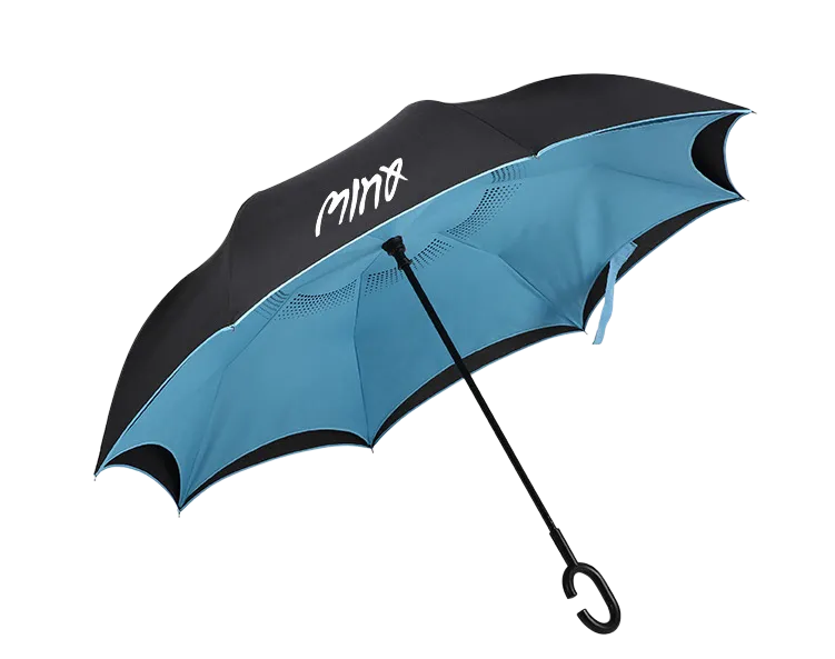 Customised Umbrella (Preorder)