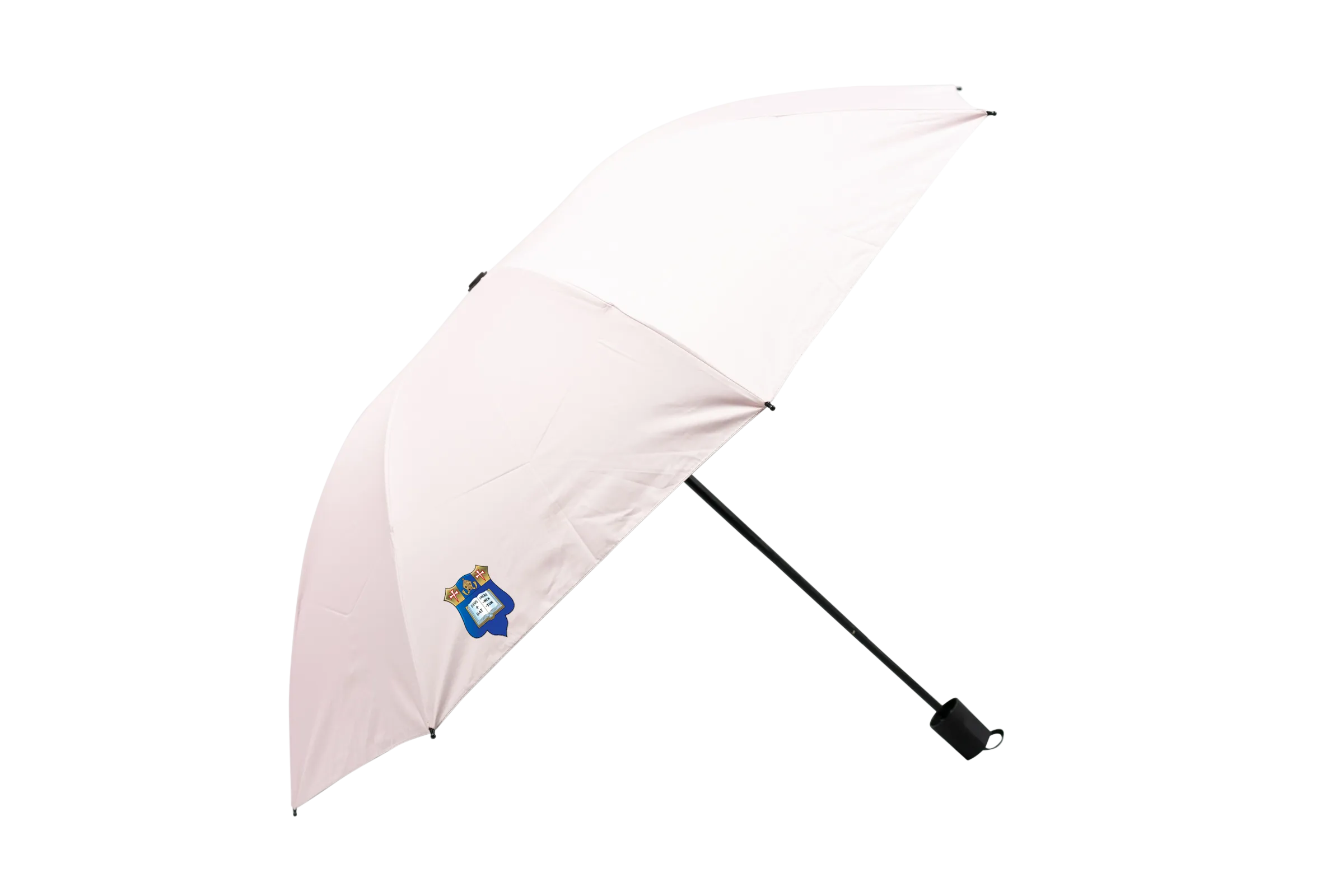 Customised Umbrella (Preorder)