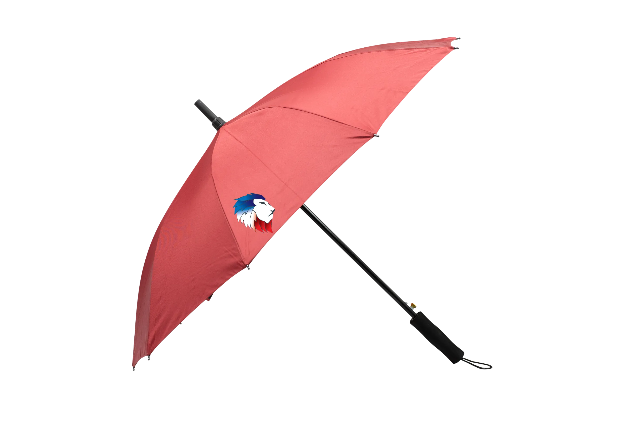 Customised Umbrella (Preorder)